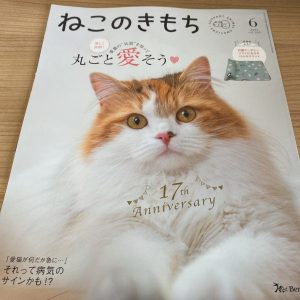 ねこのきもち6月号到着！ふろくはひんやりマット - 福袋ギルド